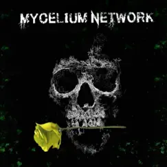 I'll Be There for You - Single by Mycelium Network album reviews, ratings, credits