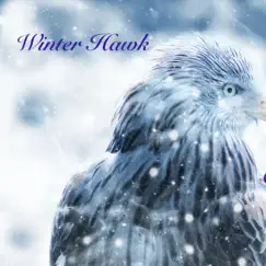 Winter Hawk (feat. Clare Steffen) - Single by Round the Globe album reviews, ratings, credits