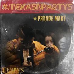 Prende Mary - Single by #Mexasinpartys album reviews, ratings, credits