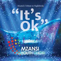 It's Ok - Single by Mzansi Youth Choir album reviews, ratings, credits