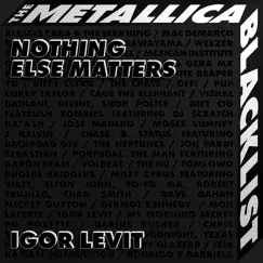 Nothing Else Matters - Single by Igor Levit album reviews, ratings, credits
