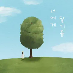 너에게 닿기를 Song Lyrics