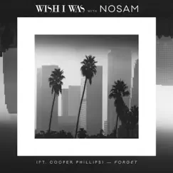 Forget (feat. Cooper Phillip) - Single by Wish I Was & NOSAM album reviews, ratings, credits