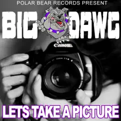 Let's Take a Picture - Single by Big Dawg album reviews, ratings, credits
