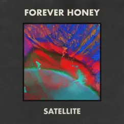 Satellite - Single by Forever Honey album reviews, ratings, credits
