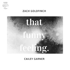 That Funny Feeling (Original Verse) - Single by Zach Goldfinch & Cailey Garner album reviews, ratings, credits