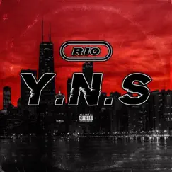 Y.N.S Song Lyrics