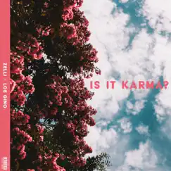 Is It Karma? (feat. Loe Gino) - Single by ZboAkaZelli album reviews, ratings, credits