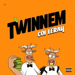 TWINNEM - Single by Coi Leray album reviews, ratings, credits