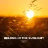 Belong In the Sunlight - Single album lyrics, reviews, download