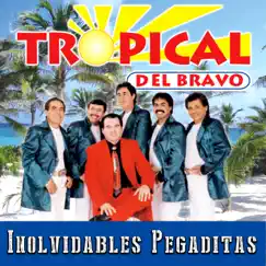 Inolvidables Pegaditas (Remix) by Tropical del Bravo album reviews, ratings, credits