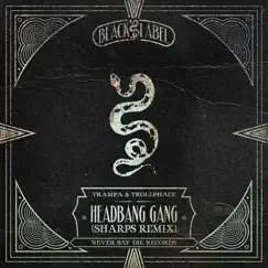 Headbang Gang (Sharps Remix) Song Lyrics