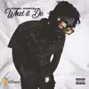 What It Do (Single) album lyrics, reviews, download