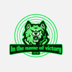 In the Name of Victory - Single by PARA-NML album reviews, ratings, credits