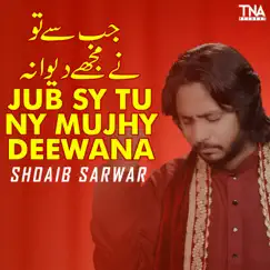 Jub Sy Tu Ny Mujhy Deewana Song Lyrics