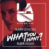 What You Want (SUER Remix) - Single album lyrics, reviews, download