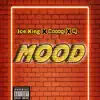 Mood (feat. cooogi) - Single album lyrics, reviews, download