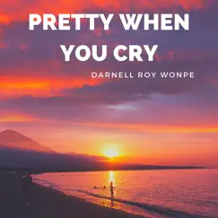 Pretty When You Cry - Single by Darnell Roy Wonpe album reviews, ratings, credits
