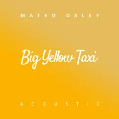 Big Yellow Taxi (Acoustic) Song Lyrics