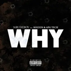 Why (feat. Kolyon & ApgTech) - Single by Rude Boy album reviews, ratings, credits