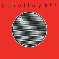 On Your Own - Single by Pete Shelley album reviews, ratings, credits