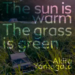 The Sun Is Warm the Grass Is Green by Akita Yamagata album reviews, ratings, credits