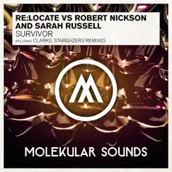 Survivor by Re:Locate, Robert Nickson & Sarah Russell album reviews, ratings, credits