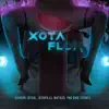 Xota Flow (feat. Yng Dan, Izumed & JotaPills) - Single album lyrics, reviews, download