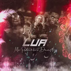 Lua - Single by Mc Pedrinho & DNASTY album reviews, ratings, credits