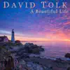 A Beautiful Life (feat. Steven Sharp Nelson) - Single album lyrics, reviews, download