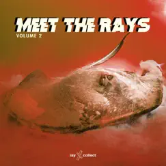 Meet the Rays EP, Vol.2 - EP by Faruk Orakci album reviews, ratings, credits