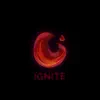 Ignite (feat. Our Last Oath, Mindead, UNREDD, The Great Hollow, Virocracy, The Oblyvion, Lies of Jolie, Escape from Wonderland, Project Helix, Keys To Clarity, Mensis, Mavis & Where Eternity Ends) - Single album lyrics, reviews, download