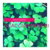 Scacciapensieri - Single album lyrics, reviews, download