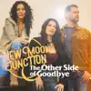 The Other Side of Goodbye - Single album lyrics, reviews, download
