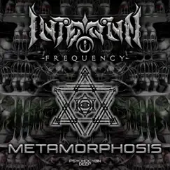 Metamorphosis - Single by Internal Frequency album reviews, ratings, credits