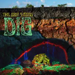 DiG by The Grip Weeds album reviews, ratings, credits