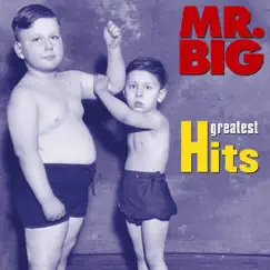 Greatest Hits by Mr. Big album reviews, ratings, credits