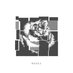 Roses - Single by Lucid Luv & Lipless album reviews, ratings, credits