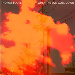 When the Sun Goes Down - Single by Thomas Boute album reviews, ratings, credits