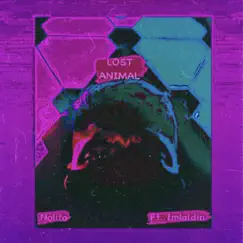 Lost Animal (feat. Laidin) - Single by Nolito album reviews, ratings, credits