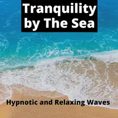 Tranquility by The Sea - Hypnotic and Relaxing Waves Sounds by ASMR Sea Waves, Ocean Noise Channel & ASMR Ocean Waves album reviews, ratings, credits
