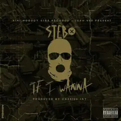 If I Wanna - Single by Stebo album reviews, ratings, credits