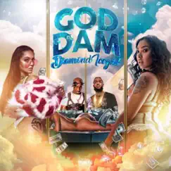 God Dam - Single by Diamond Icegirl album reviews, ratings, credits