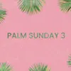 Palm Sunday 3 - EP album lyrics, reviews, download