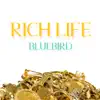 Rich Life - Single album lyrics, reviews, download