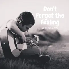 Don't Forget the Feeling - Single by Josh Williams album reviews, ratings, credits