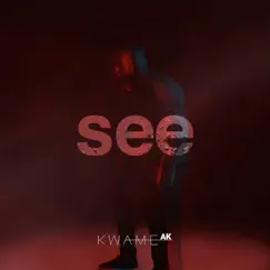 See - Single by Kwame AK album reviews, ratings, credits