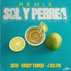 Sal y Perrea (Remix) Song Lyrics