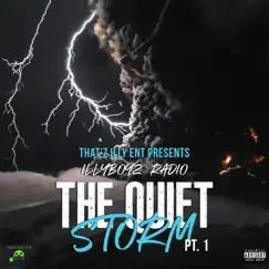 That'z Illy Ent Presents Illyboyz Radio the Quiet Storm, Pt. 1 by Dru4rumThaIllyboyz & Illyboy Pope album reviews, ratings, credits