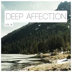 Deep Affection, Vol. 16 by Various Artists album reviews, ratings, credits